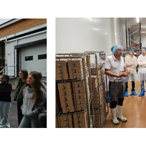 Capture d'écran 2025-10-27 164700