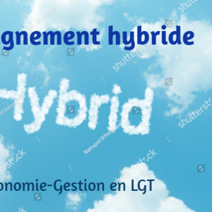 Enseignement hybride Eco-Gestion