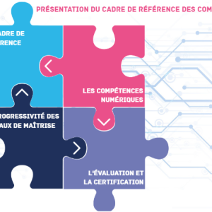 cadre référence competences numeriques