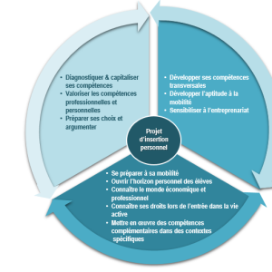 Module de préparation à l'insertion professionnelle