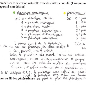 proposition élèves_01