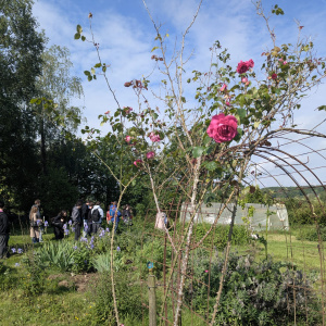 Rencontre d'une maraîchère en fleurs comestibles et herbes aromatiques